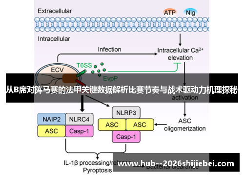 从B席对阵马赛的法甲关键数据解析比赛节奏与战术驱动力机理探秘 从B席对阵马赛的法甲关键数据解析比赛节奏与战术驱动力机理探秘